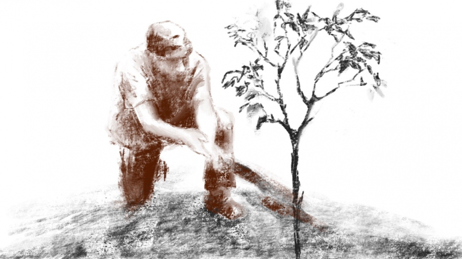 Animierte Person, die einen kleinen Baum anschaut