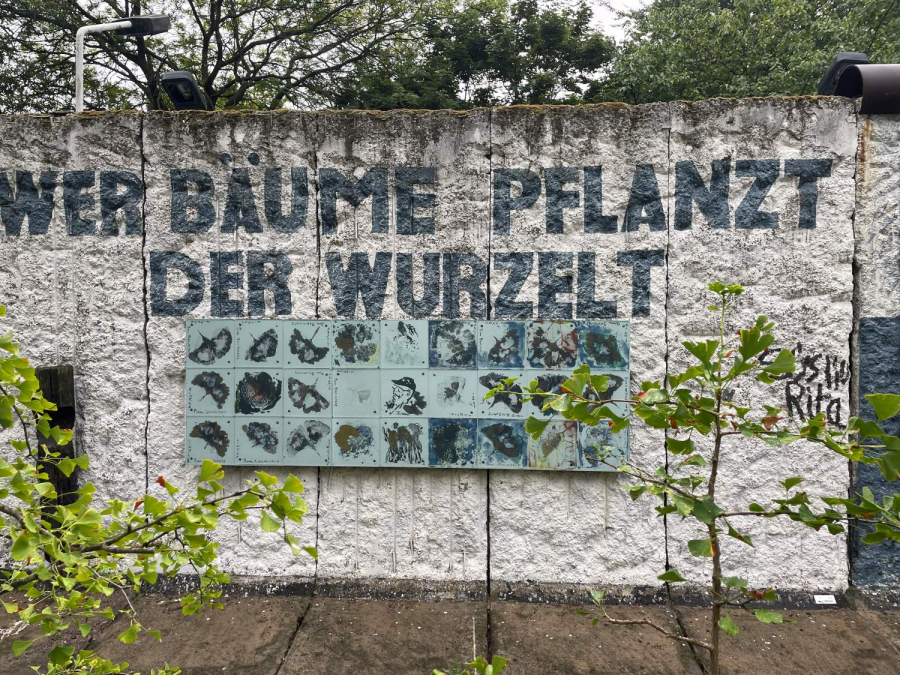 Ein Teil der Berliner Mauer im Parlament der Bäume