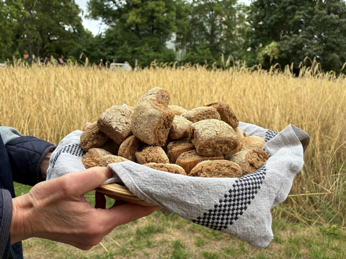 Foto von einem Brotkorb vor dem Roggen