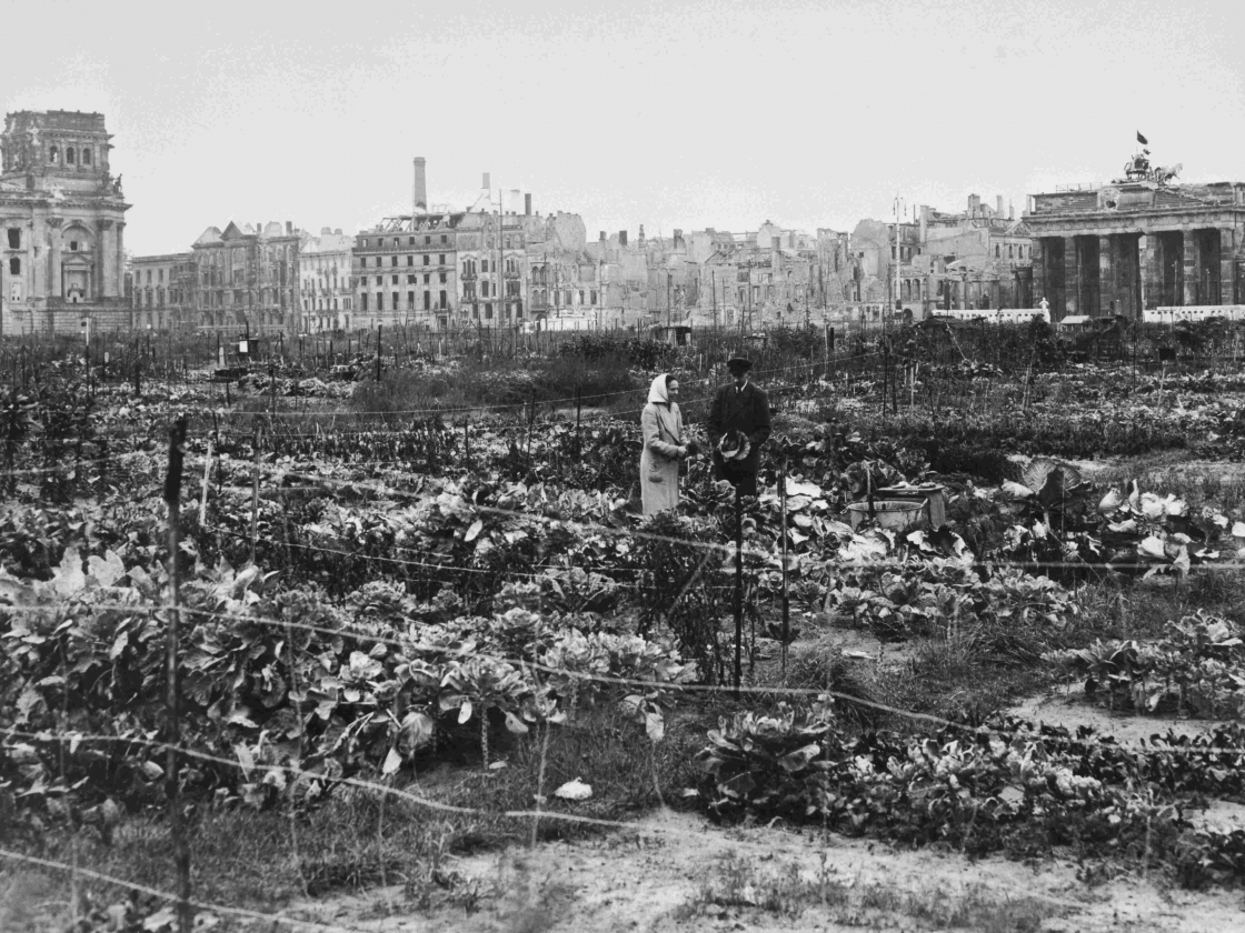 Foto von Ackeranbau vor dem Brandenburger Tor in Schwarz-Weiß