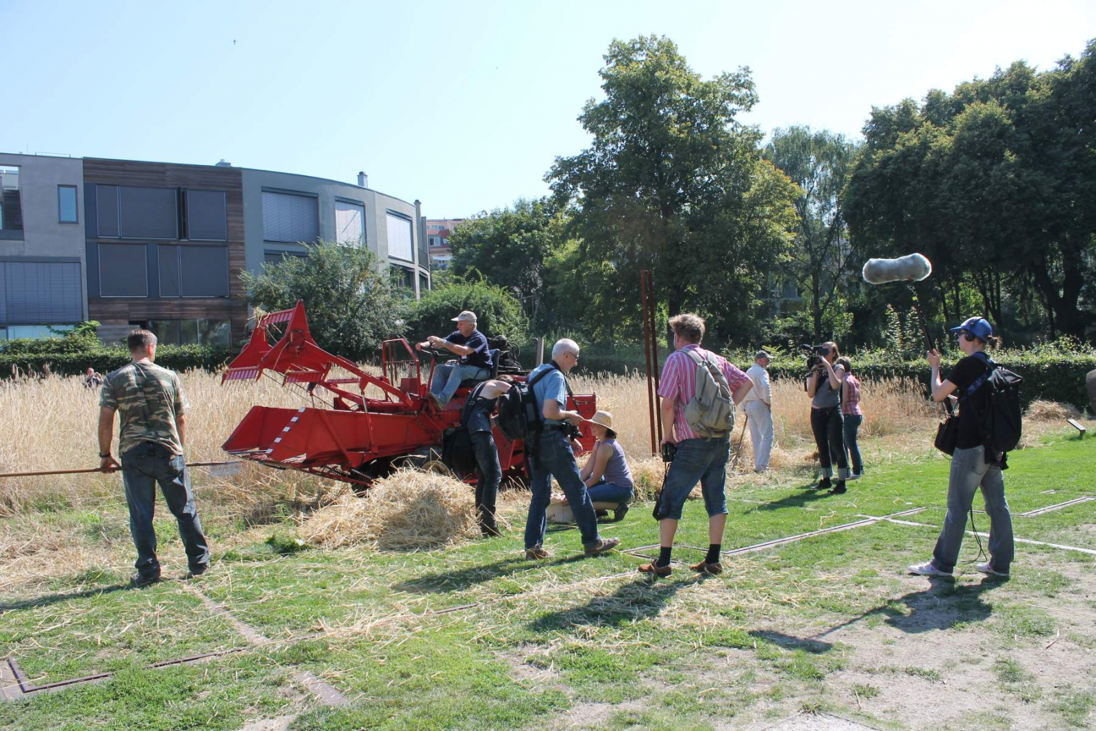 Roggenernte mit Personen und Filmteam