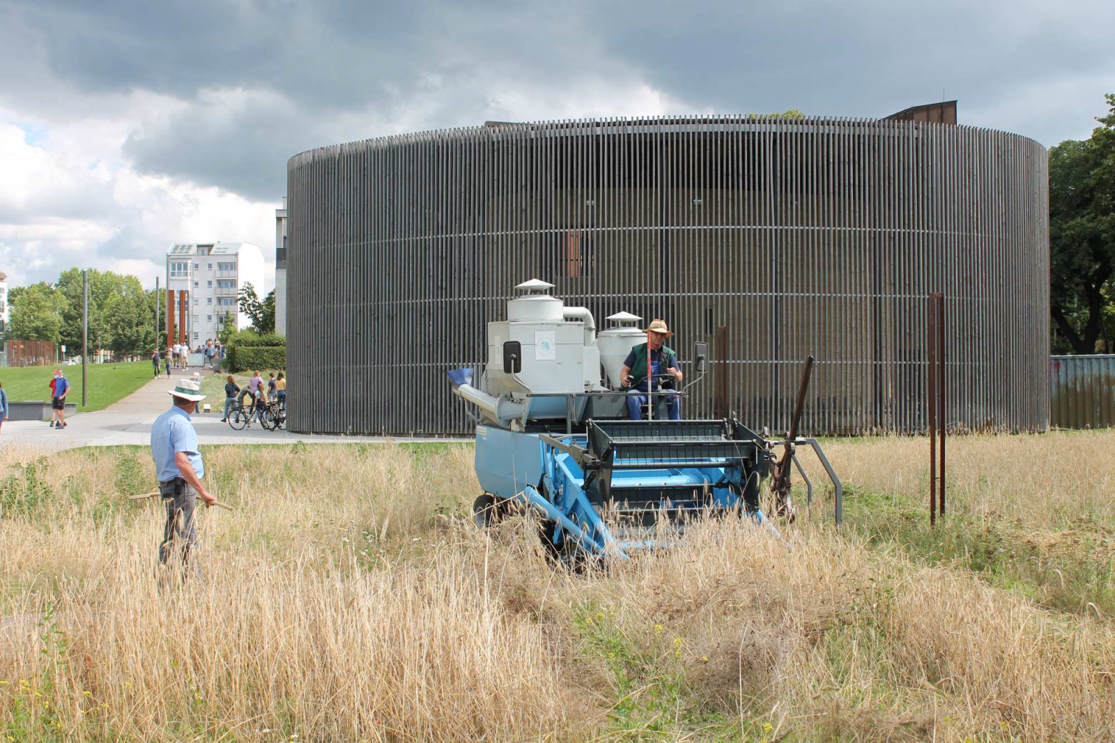 Bagger erntet den Roggen auf dem Feld vor der Kapelle